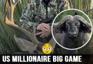 Texas ranch millionaire fatally gored by buffalo on South Africa hunt